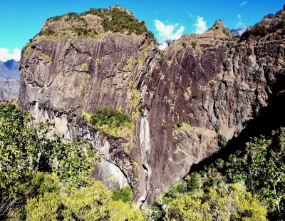 CanyonFleurJaune - 6.webp